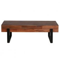 24 in. Brown and Black Iron Frame Butcher Block Rectangular Reclaimed Wood Coffee Table by The Urban Port