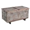 18 in. Gray and Brown Rectangular Mango Wood Trunk Coffee Table with Metal Sled Base by The Urban Port
