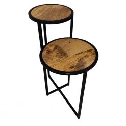 20 in. Brown and Brass Two Tier Round Wooden Side Table with Metal Frame by The Urban Port