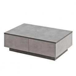 23.6 in. Charcoal and Gray Modern Rectangular Particle Board Plinth Base Coffee Table with Storage by The Urban Port