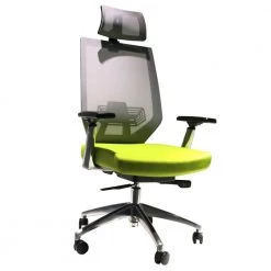 Green and Gray Adjustable Headrest Ergonomic Office Swivel Chair with Padded Seat and Casters by The Urban Port