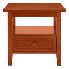 20 in. W Honey Brown Wooden Rectangular End Table with 1 Drawer by The Urban Port